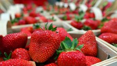 jagode kemikalije pranje soda bikarbona nasvet trik poceni umazanija sadje