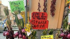 
                                                         Kalabrija Pizzo