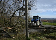 Kmet želel urediti dovozno pot za svoj traktor: ko so začeli kopati, so vsem popadale čeljusti (2-krat morali pogledati, če je vse res!)