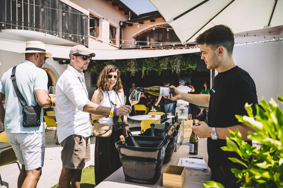 DOK Brda 2026: Ko kleti odprejo vrata in vino postane zgodba (foto: DOK Brda)