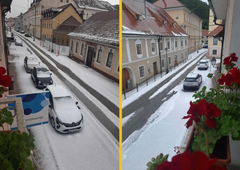Mračne napovedi se uresničujejo: dele Slovenije pobelilo, veter podiral drevesa, sprožil se je plaz