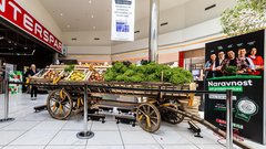 
                                                         Spar Slovenija platforma Naravnost od pridelovalca