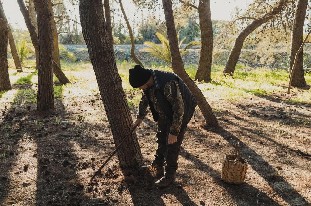 Planinca v gozdu po naključju našla posodo, v njej pa pravi zaklad: vse je bilo zavito v črno tkanino (foto: profimedia)