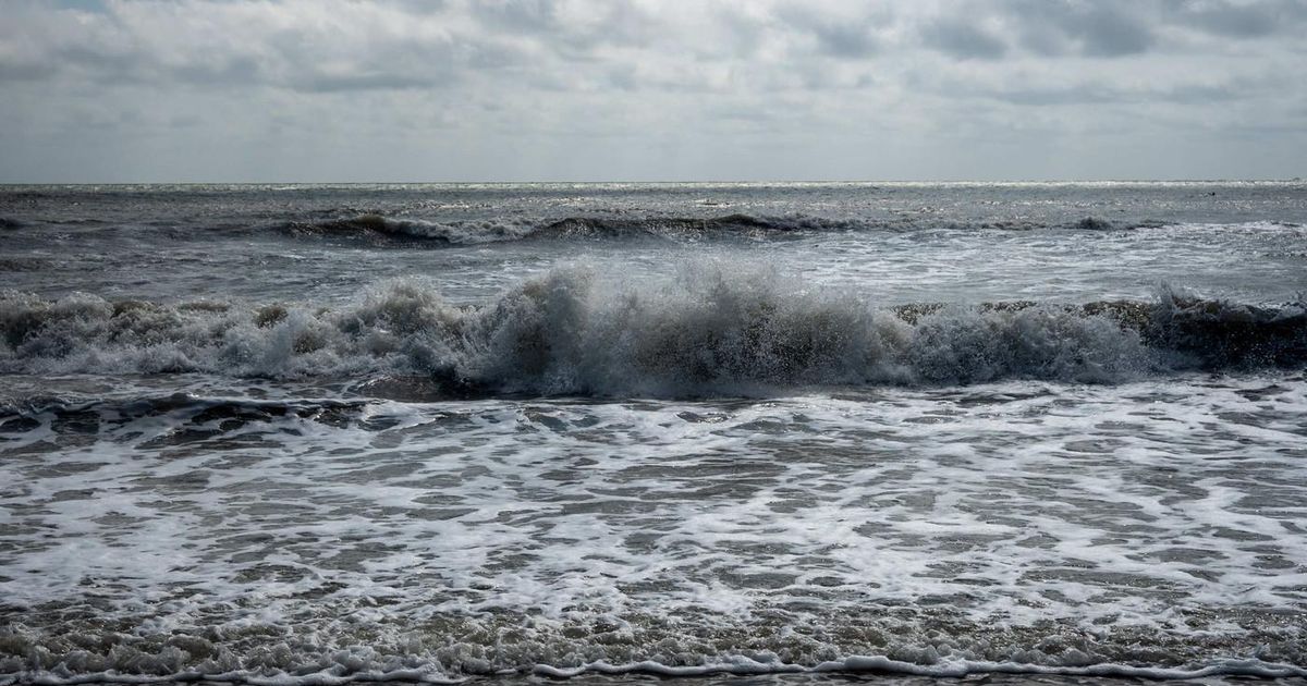 Tavali Leta 1995 na plažo naplavilo lobanjo: strokovnjaki tavali v temi, nato ...
