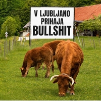 plakat biki bullshit
