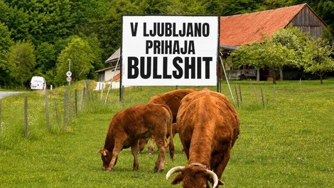 plakat biki bullshit