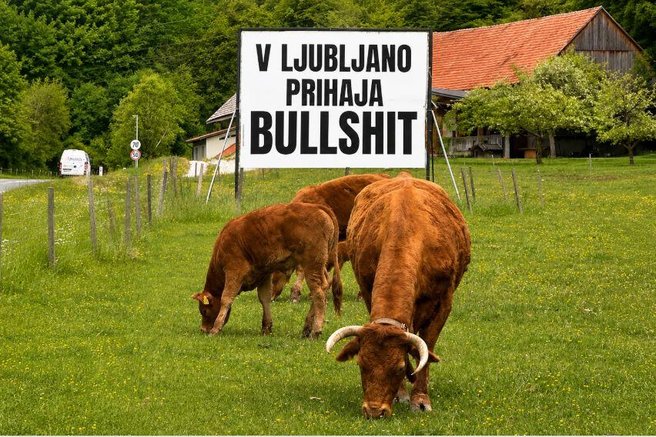 plakat biki bullshit