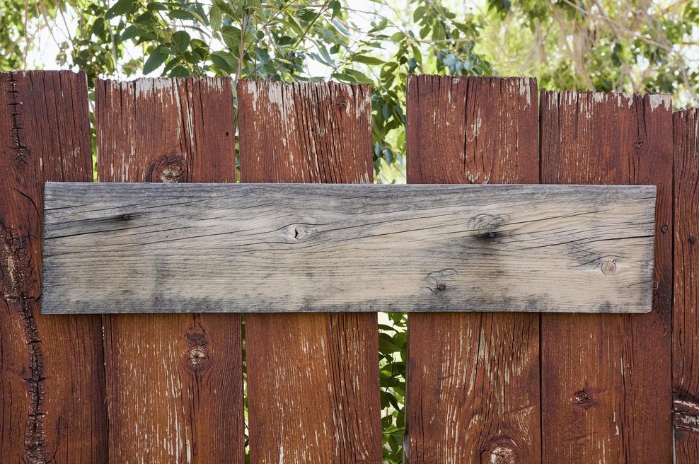 Kaj neurejeno dvorišče pove o značaju lastnika (strokovnjaki razkrivajo) (foto: profimedia)