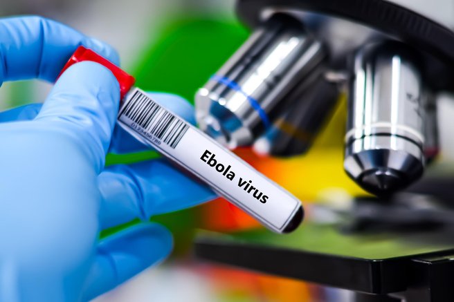 ebola