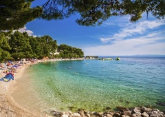 V turističnem raju na Jadranu sprehajalce v morju pričakal ogaben prizor, sililo jih je na bruhanje: "In tukaj se bo kdo kopal?!"
