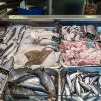 ribe sardele kosti zdravje veckrat tedensko prehrana nasvet strokovnjaki morje