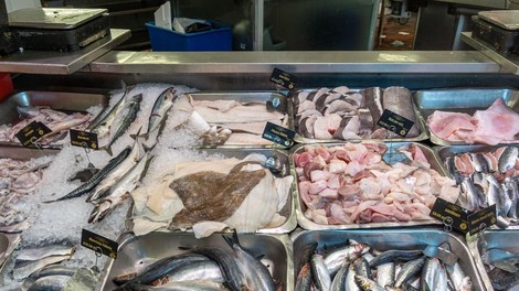 ribe sardele kosti zdravje veckrat tedensko prehrana nasvet strokovnjaki morje
