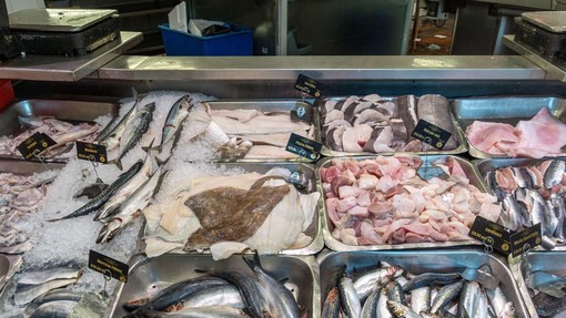 To ribo, ki je draga in cenjena, mnogi naravnost obožujejo, a strokovnjaki opozarjajo: ne jejte je prepogosto, v njenem mesu se skriva tole