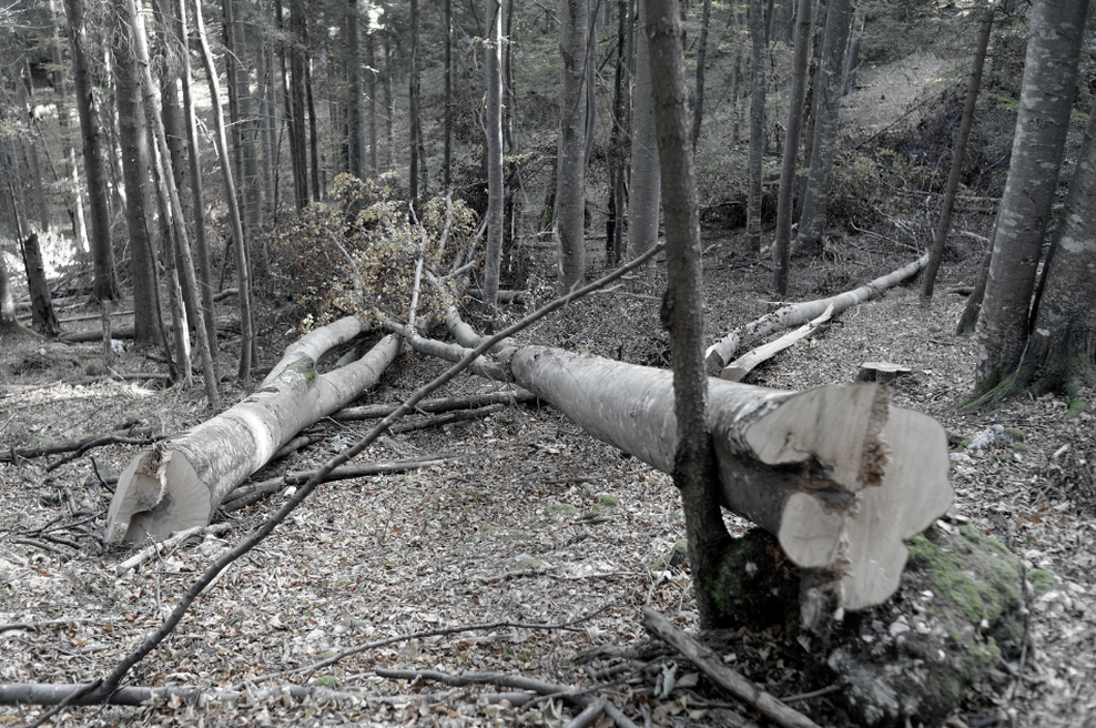 Fotografija je simbolična. (foto: Urška Živulovič/Bobo)