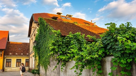 Kranj turistka