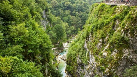 Tolminska korita