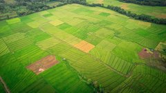 riz zemlja planet globalno segrevanje sprememembe hrana zivljenje tezava problem kriza ljudje