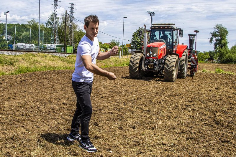 S projektom Sejemo sončno prihodnost bodo sončnice ob železniških tirih ponovno povezale Slovenijo
