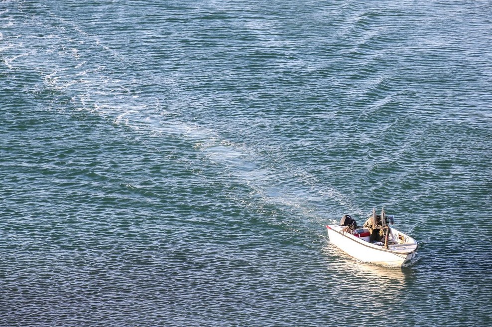 Na Jadranu prižgali rdeči alarm: pod gladino morja se skriva huda težava, strokovnjaki so vse bolj in bolj obupani (foto: Profimedia)
