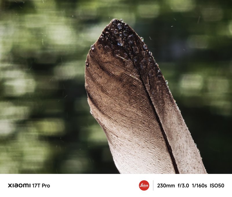 TEST: Serija Xiaomi 17T - bližje trenutkom, bližje popolni fotografiji