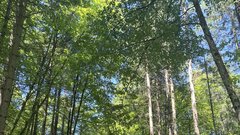 
                                                         Otoce Gorenjska kolesarji