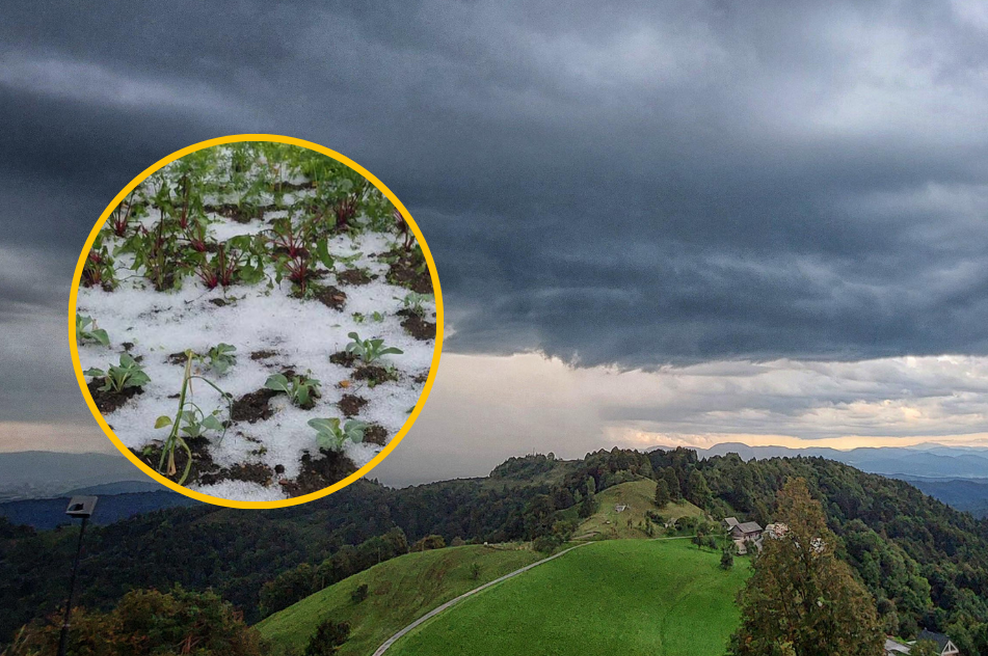 Mračne napovedi vremenoslovcev se uresničujejo: veter, podiral drevesa, slovenski kraj že drugič letos prizadela toča (foto: Bobo/Neurje.si/Marjeta Pestotnik/fotomontaža)