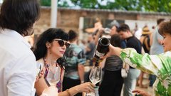 
                                                         Salon Sauvignon Krizanke Jerca Legan