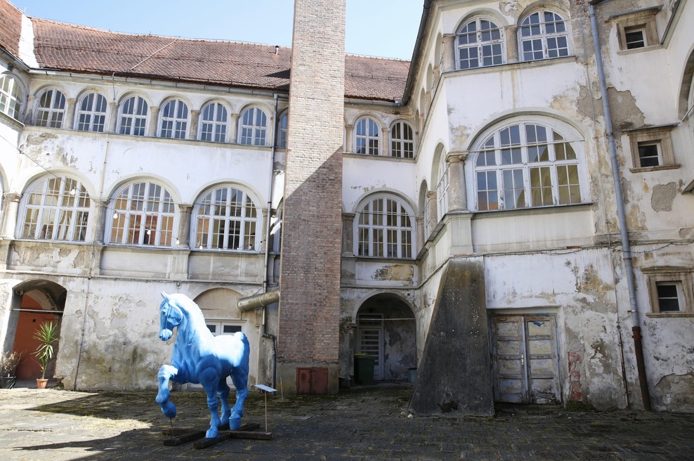 Izjemen uspeh, ki odmeva po vsej Evropi: slovenskemu projektu prestižno priznanje (foto: Aleksandra Saša Prelesnik)