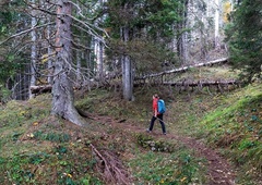 To je skriti dragulj Slovenije — turistka pozornost usmerila na našo precej neznano naravno znamenitost