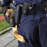 policijski pes ugriz dravograd obcan policija nesreca dogodek nadzor slovenija koroska