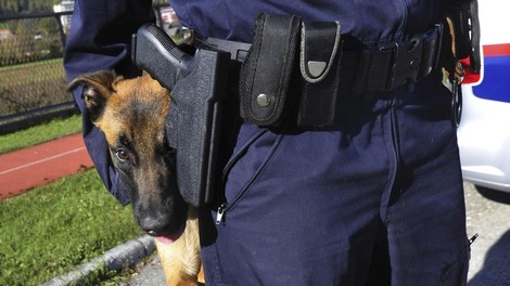 policijski pes ugriz dravograd obcan policija nesreca dogodek nadzor slovenija koroska