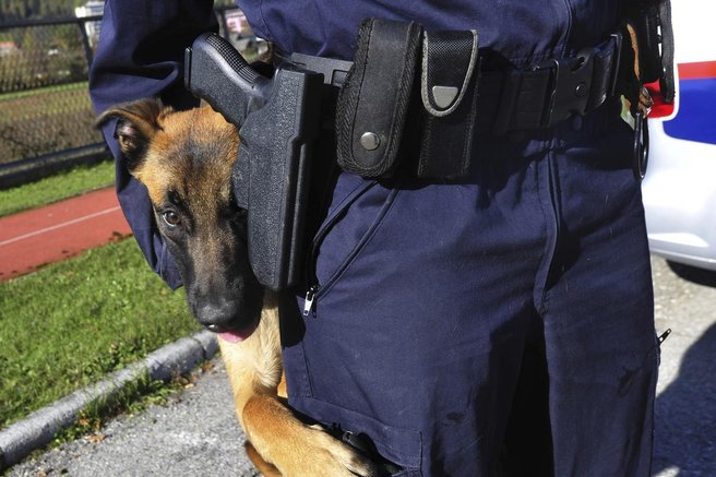 policijski pes ugriz dravograd obcan policija nesreca dogodek nadzor slovenija koroska