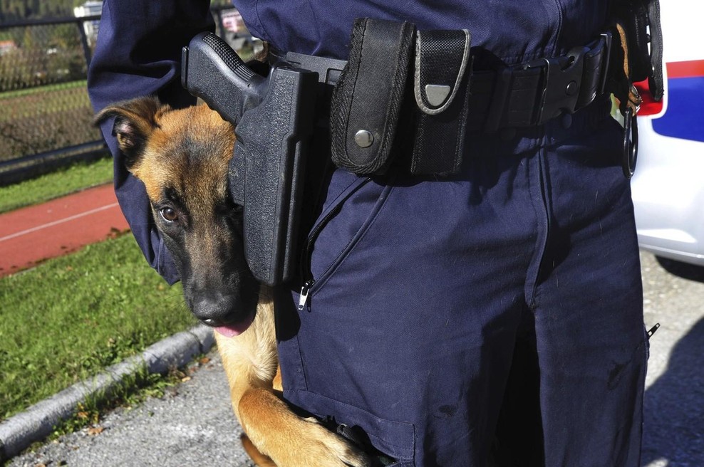 Fotografije je simbolična. (foto: Profimedia)