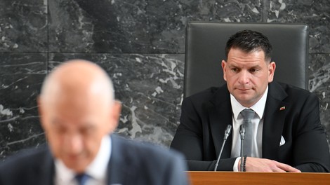 zoran stevanovic drzavni zbor pocestnice svoboda tozba opravicilo politika slovenija