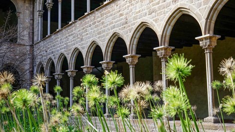 barcelona spanija katalonija zgodovina kraljica arheologija najdba grobnica odkritje presenecenje zacudenje