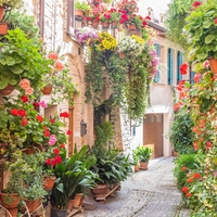 Spello Italija Umbrija najlepaa vasica