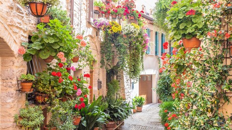Spello Italija Umbrija najlepaa vasica