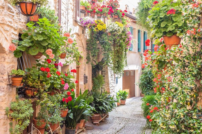 Spello Italija Umbrija najlepaa vasica