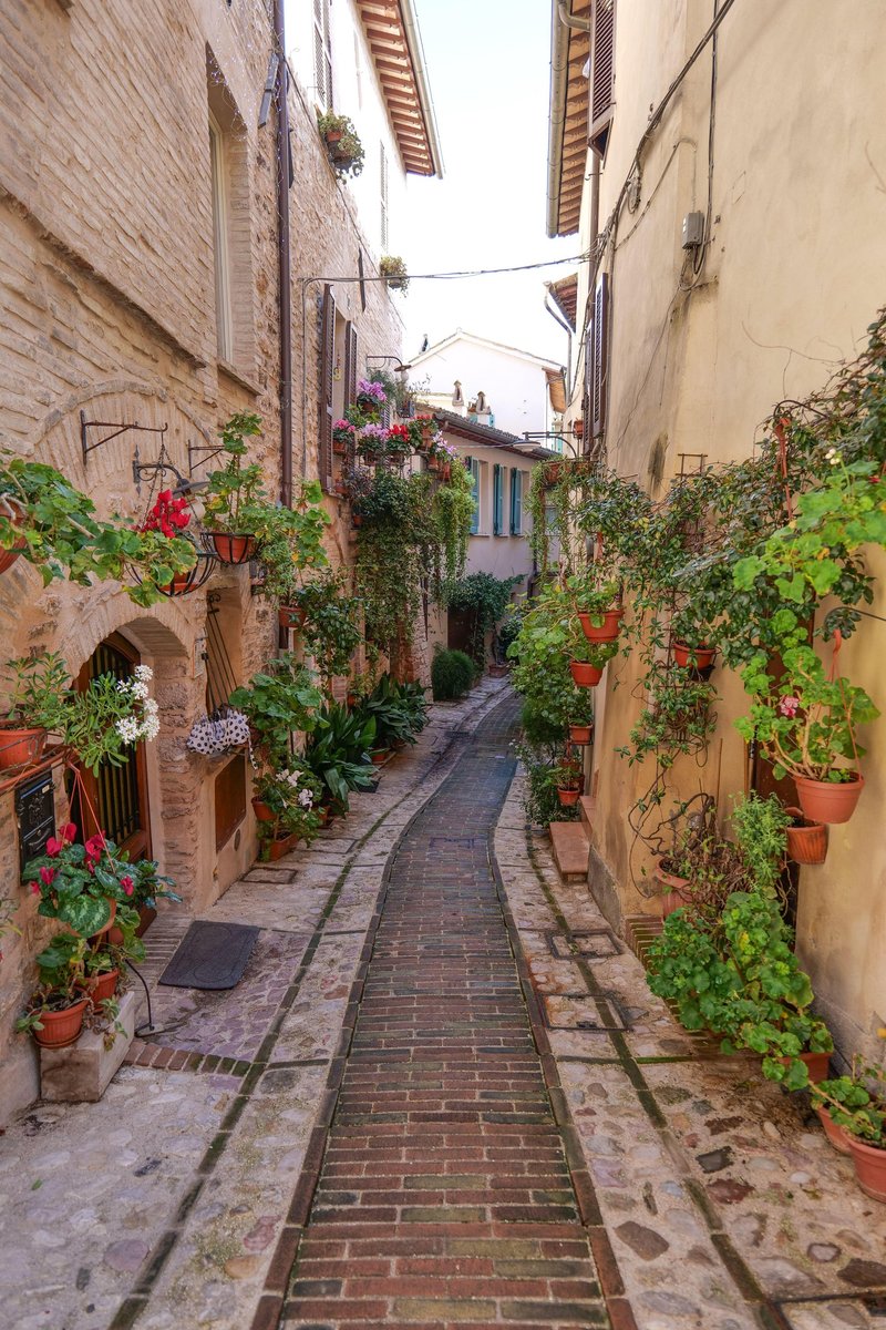 Spello Italija Umbrija najlepsa vasica