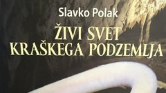 
                                                         Notranjski muzej Postojna kras