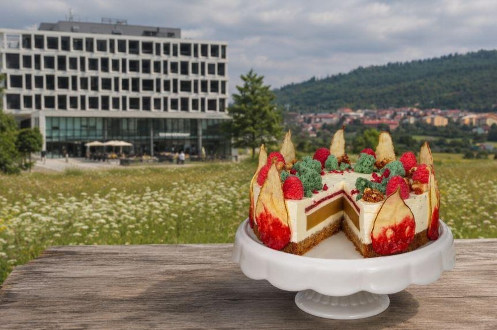 Ste vedeli, da ima Postojna svojo sladko zvezdo? Jakobova tortica osvaja obiskovalce, ima pa tudi zelo poseben detajl! (foto: Profimedia/Ma.Po./AI)