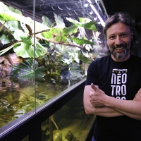 Neotropica Klemen Ogrizek