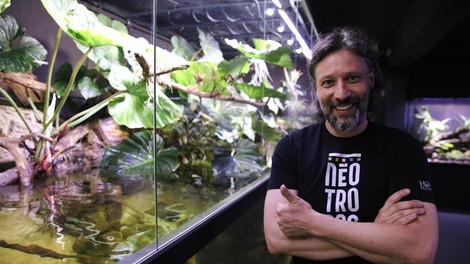 Neotropica Klemen Ogrizek