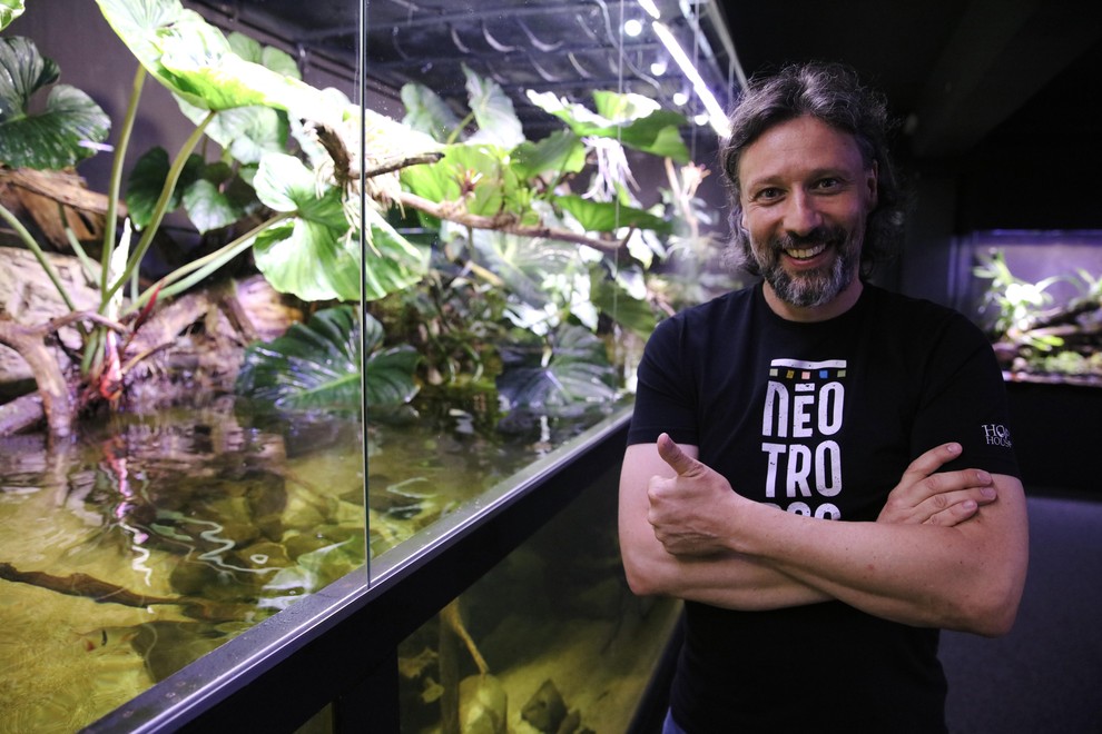 Neotropica Klemen Ogrizek