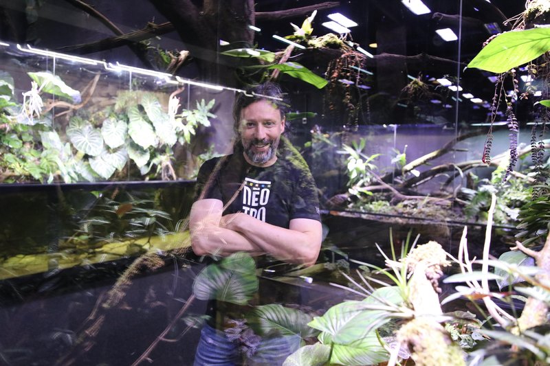 Neotropica Postojna tropsko dozivetje