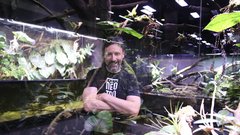 
                                                         Neotropica Postojna tropsko dozivetje