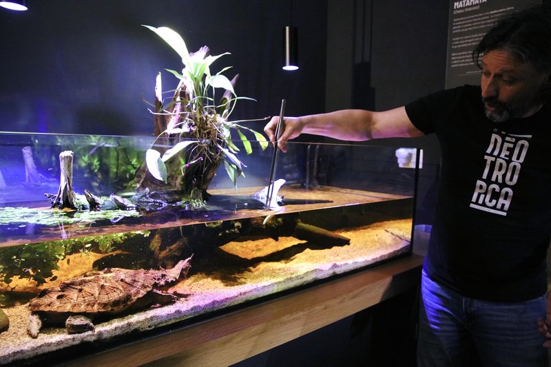 Neotropica Postojna tropsko dozivetje