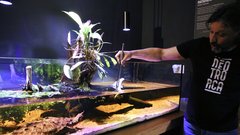 
                                                         Neotropica Postojna tropsko dozivetje
