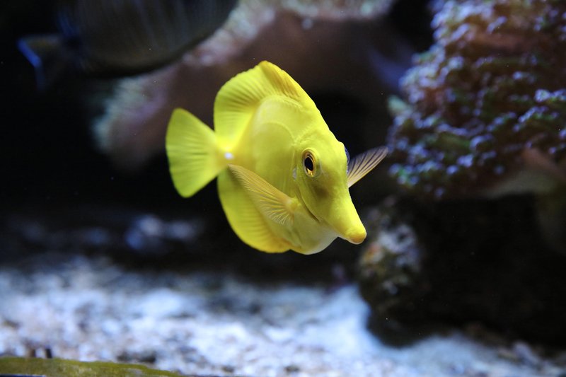 Neotropica Postojna tropsko dozivetje
