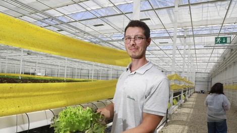 Od rastlinjaka do regije: kako lokalna hrana postaja velika industrija